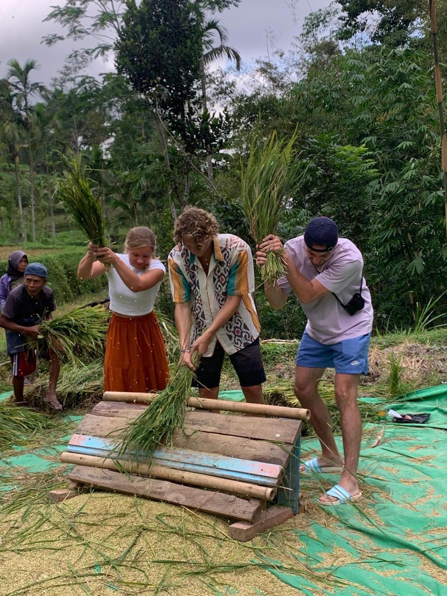 Bale Tetebatu Villa Luaran gambar