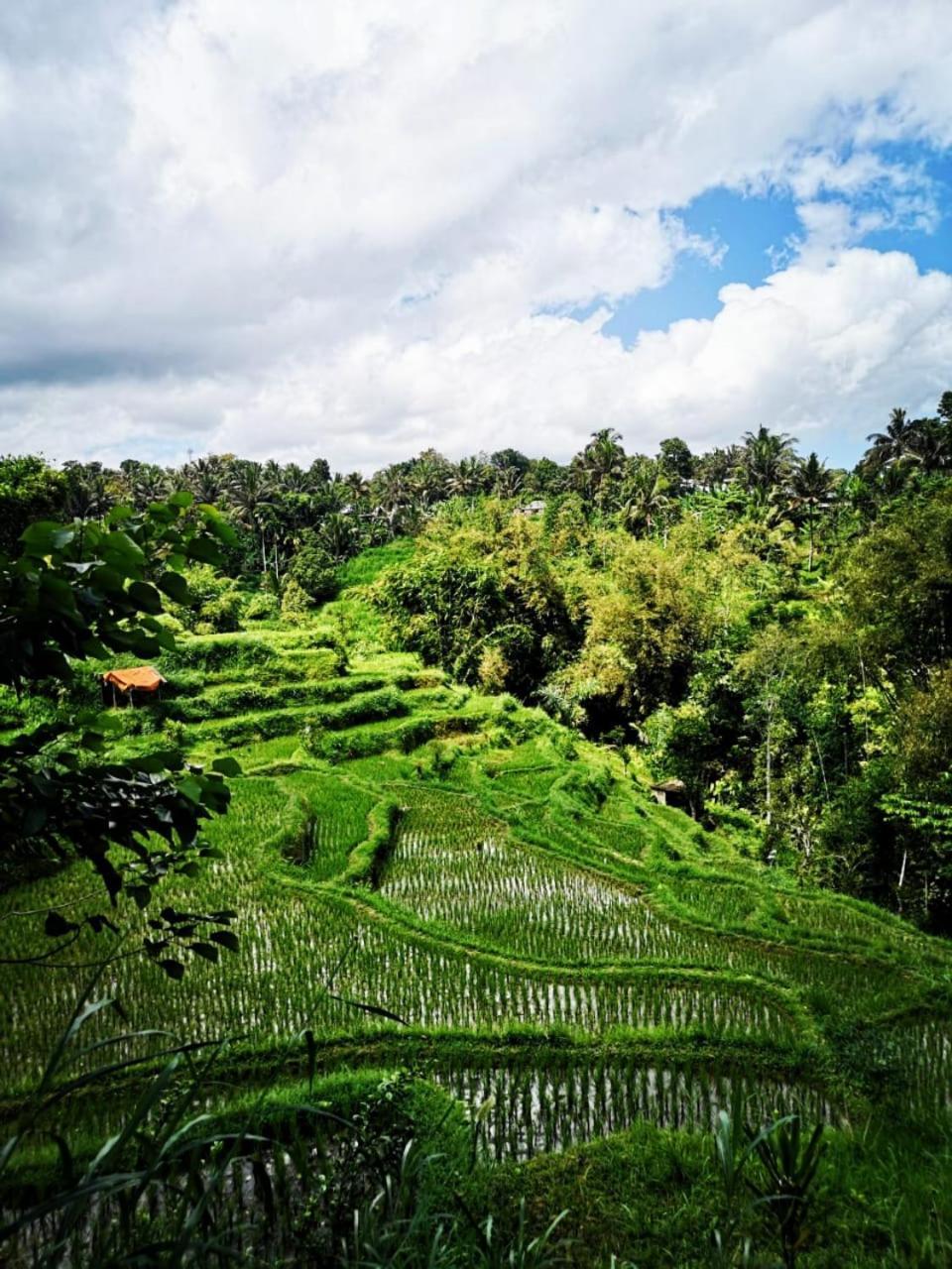 Bale Tetebatu Villa Luaran gambar